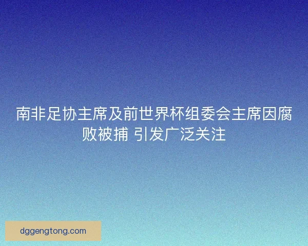 南非足协主席及前世界杯组委会主席因腐败被捕 引发广泛关注
