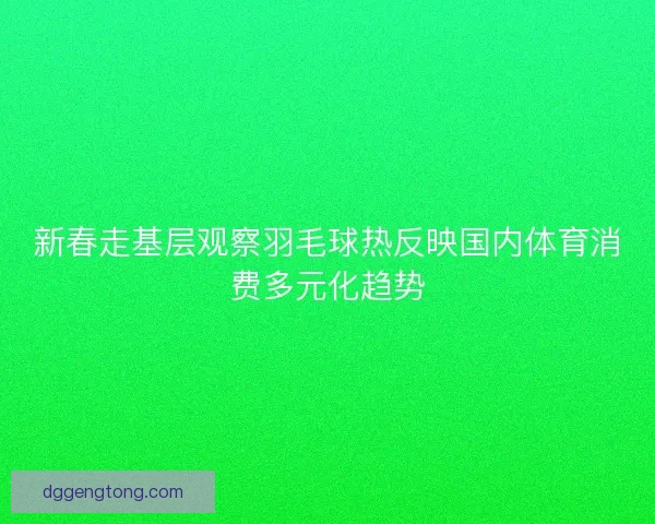 新春走基层观察羽毛球热反映国内体育消费多元化趋势