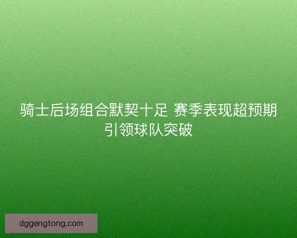 骑士后场组合默契十足 赛季表现超预期引领球队突破